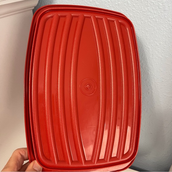 Tupperware Kitchen Tupperware Poultry Keeper Flavor Saver Container